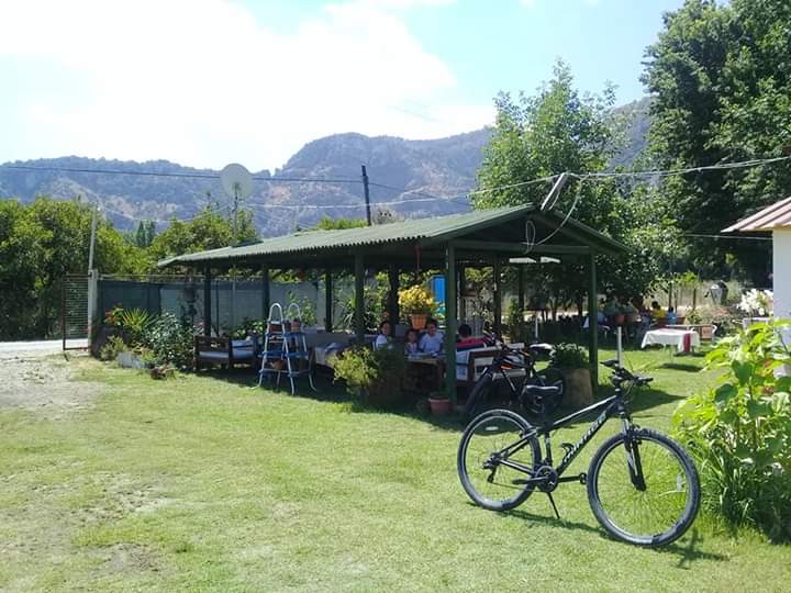 Dalyan Doğa Camping