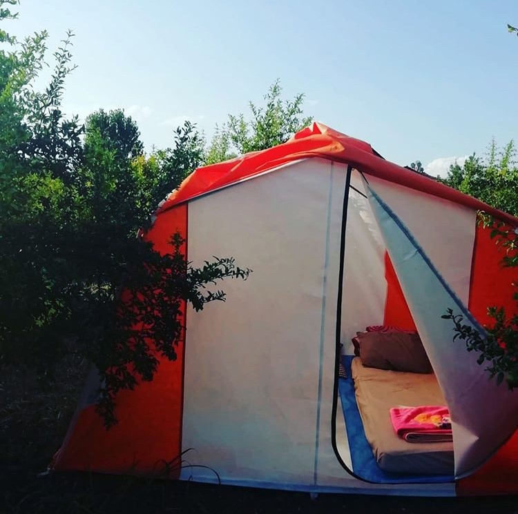 Dalyan Doğa Camping