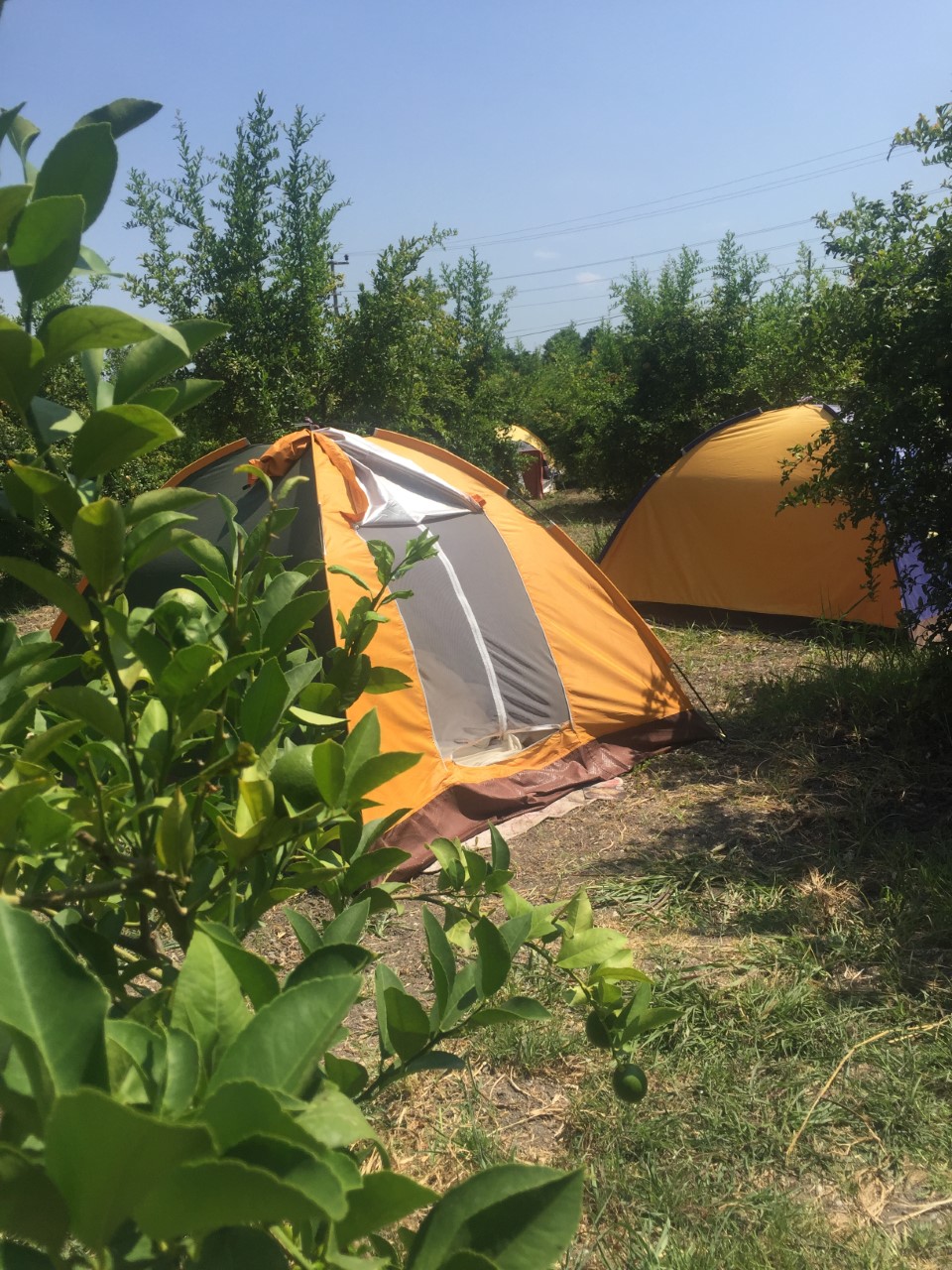 Dalyan Doğa Camping