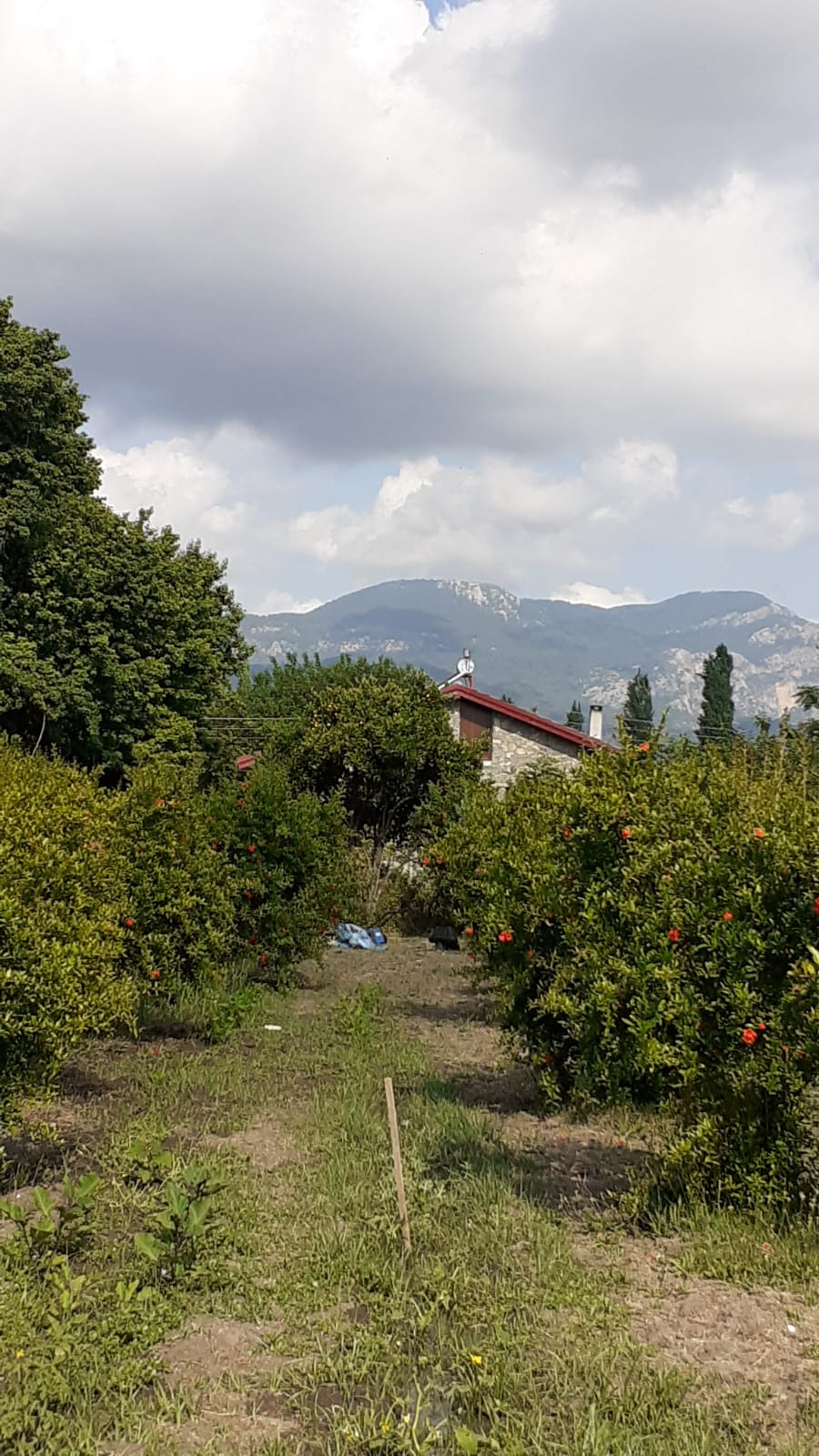 Dalyan Doğa Camping