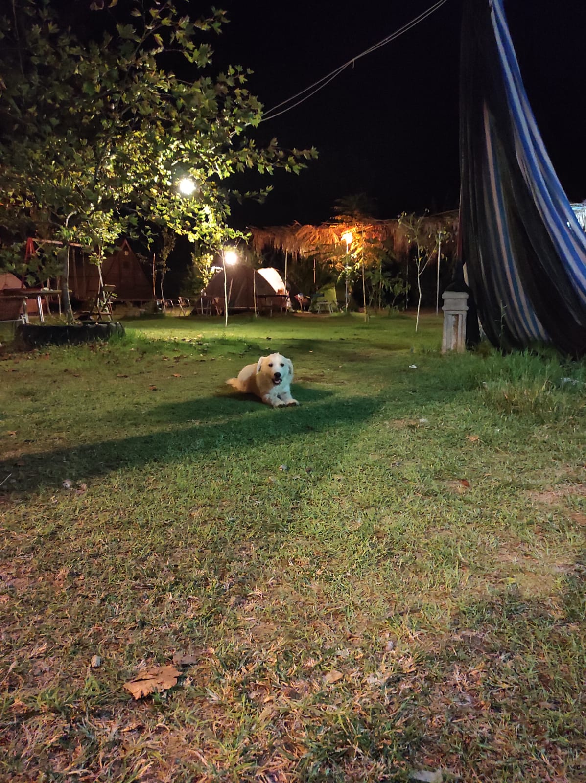 Dalyan Doğa Camping