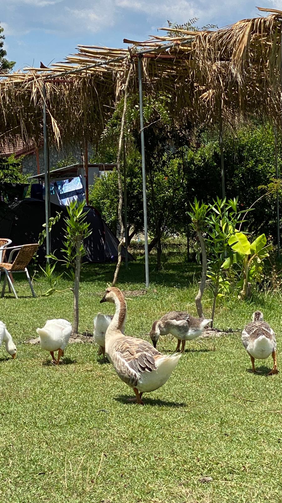 Dalyan Doğa Camping